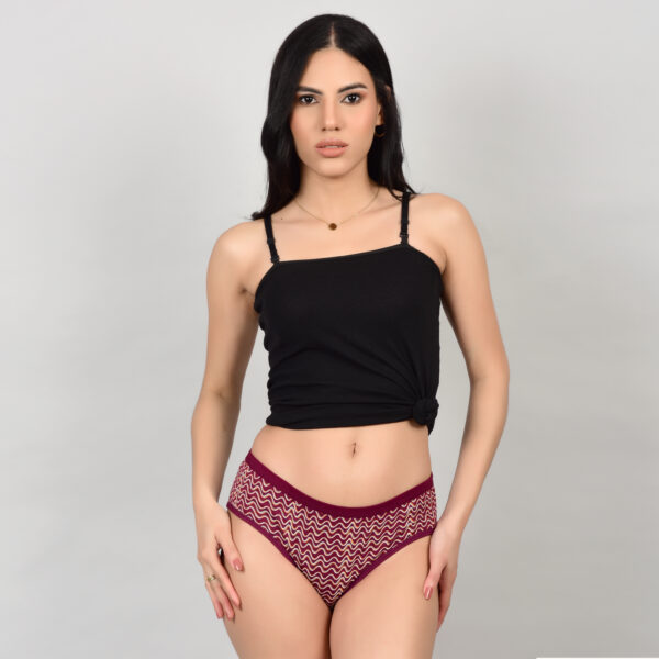Princim Super Combed Cotton Full Coverage Hipster - Image 4