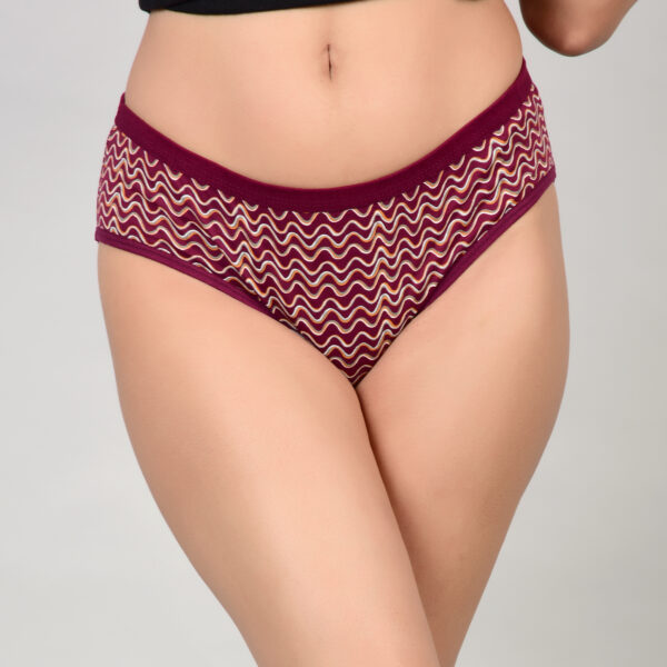 Princim Super Combed Cotton Full Coverage Hipster - Image 5