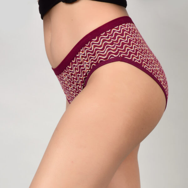 Princim Super Combed Cotton Full Coverage Hipster - Image 6