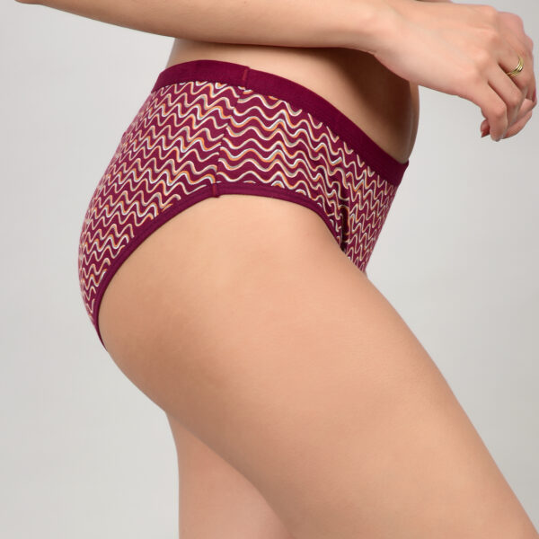 Princim Super Combed Cotton Full Coverage Hipster - Image 7