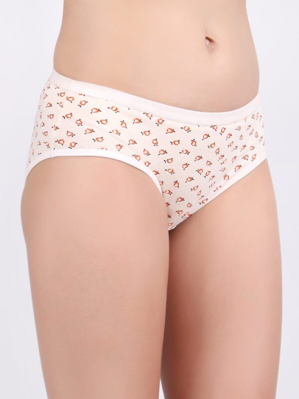 Princim Super Combed Cotton Full Coverage Hipster - Image 14